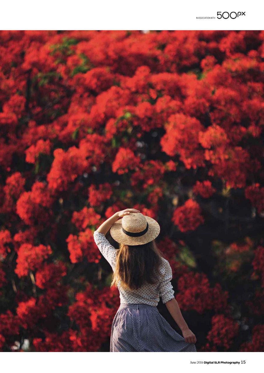 Digital SLR Photography Preview Pages