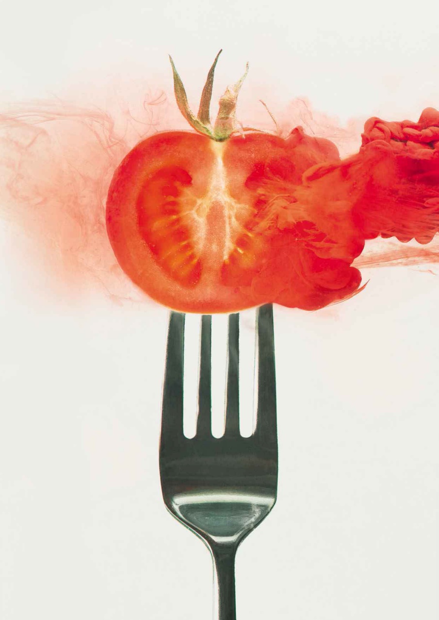 Digital SLR Photography Preview Pages