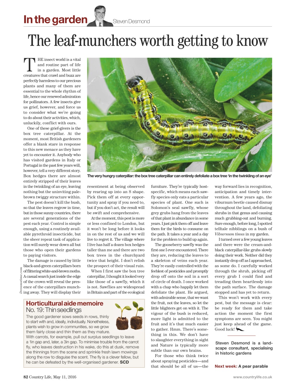 Country Life Preview Pages