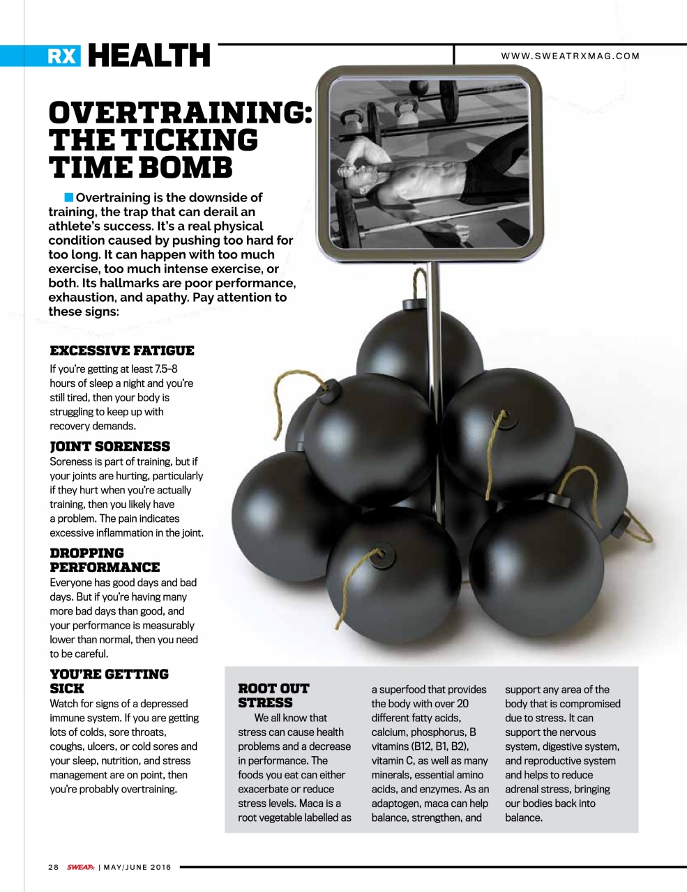 Sweat RX Preview Pages