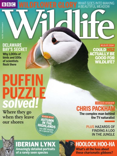BBC Wildlife Magazine issue 