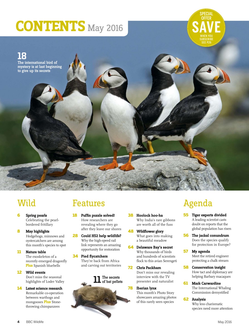 BBC Wildlife Magazine Preview Pages