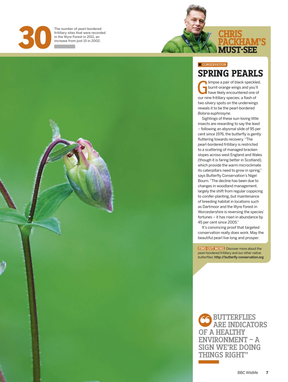 BBC Wildlife Magazine Preview Pages