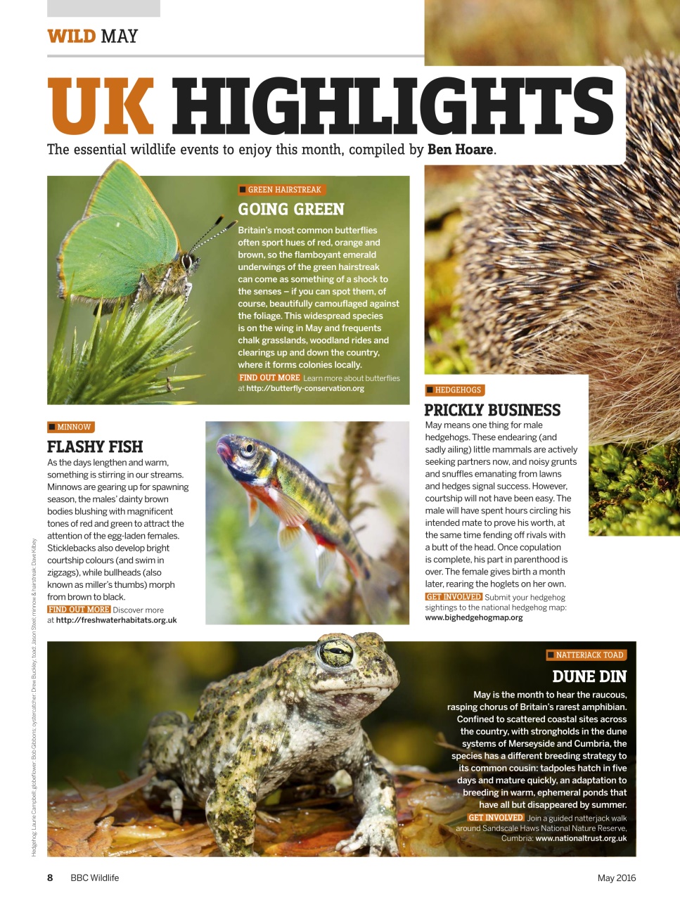 BBC Wildlife Magazine Preview Pages
