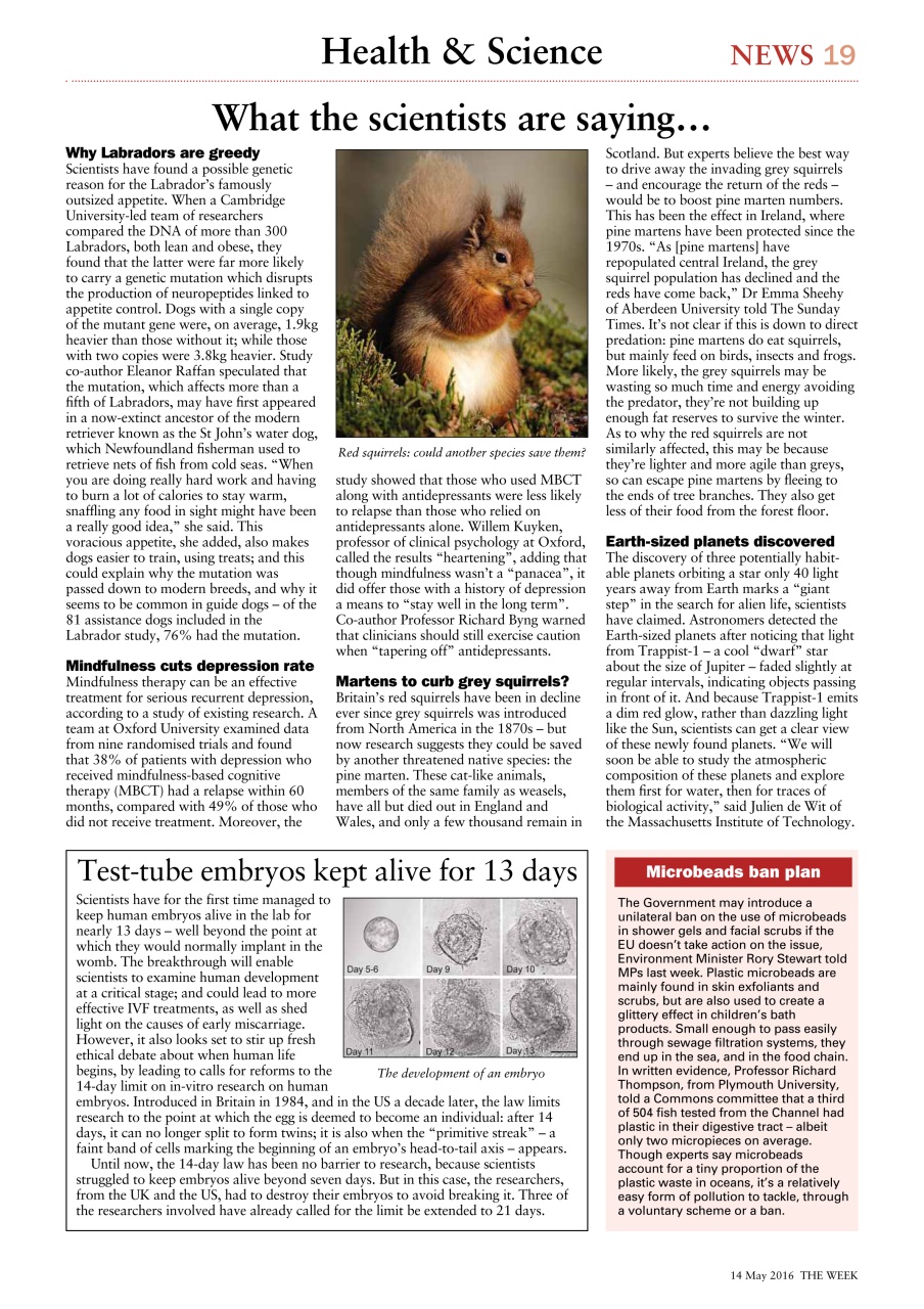 The Week Preview Pages