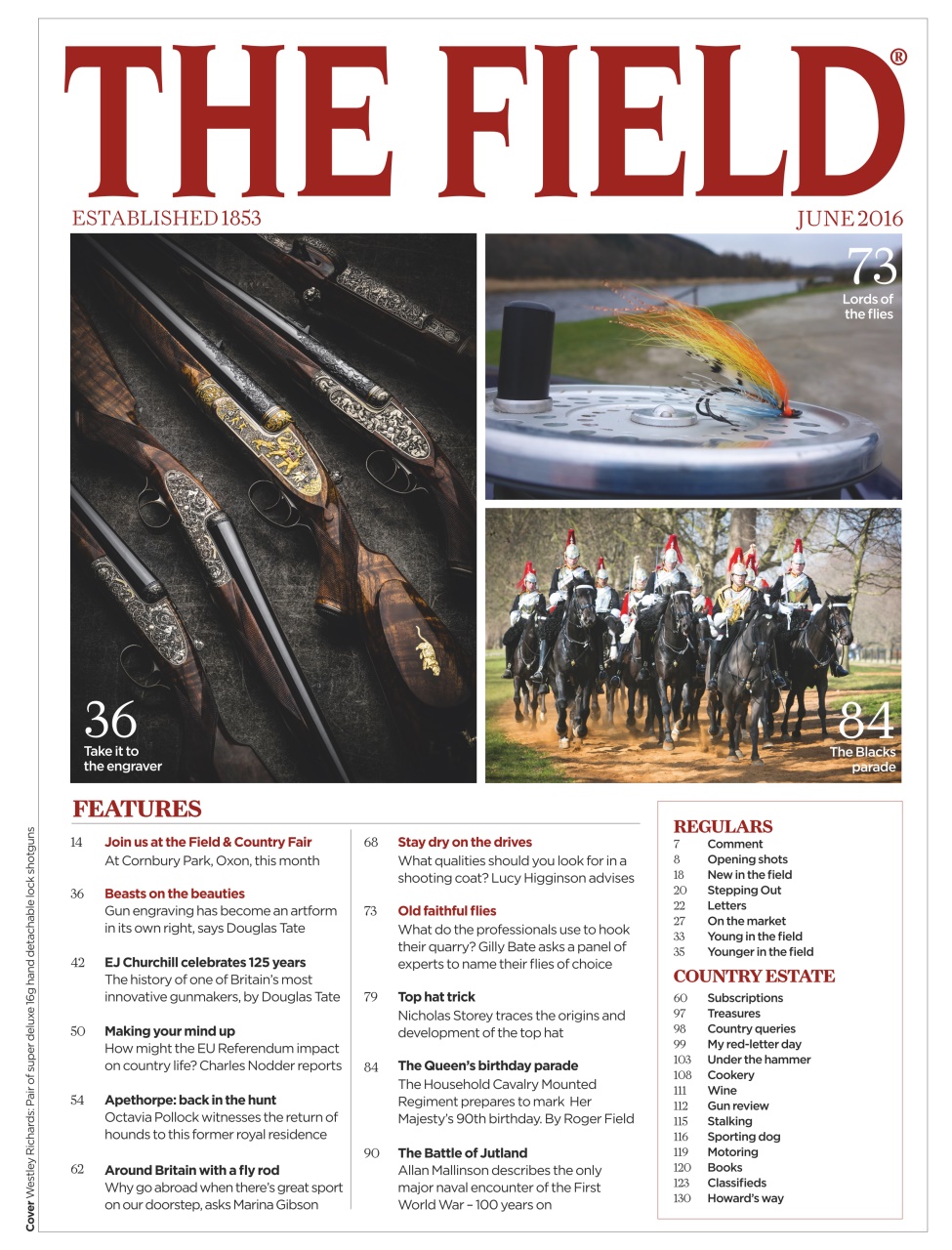 The Field Preview Pages