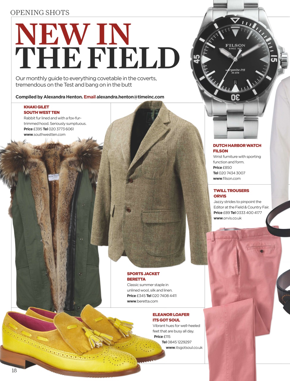 The Field Preview Pages