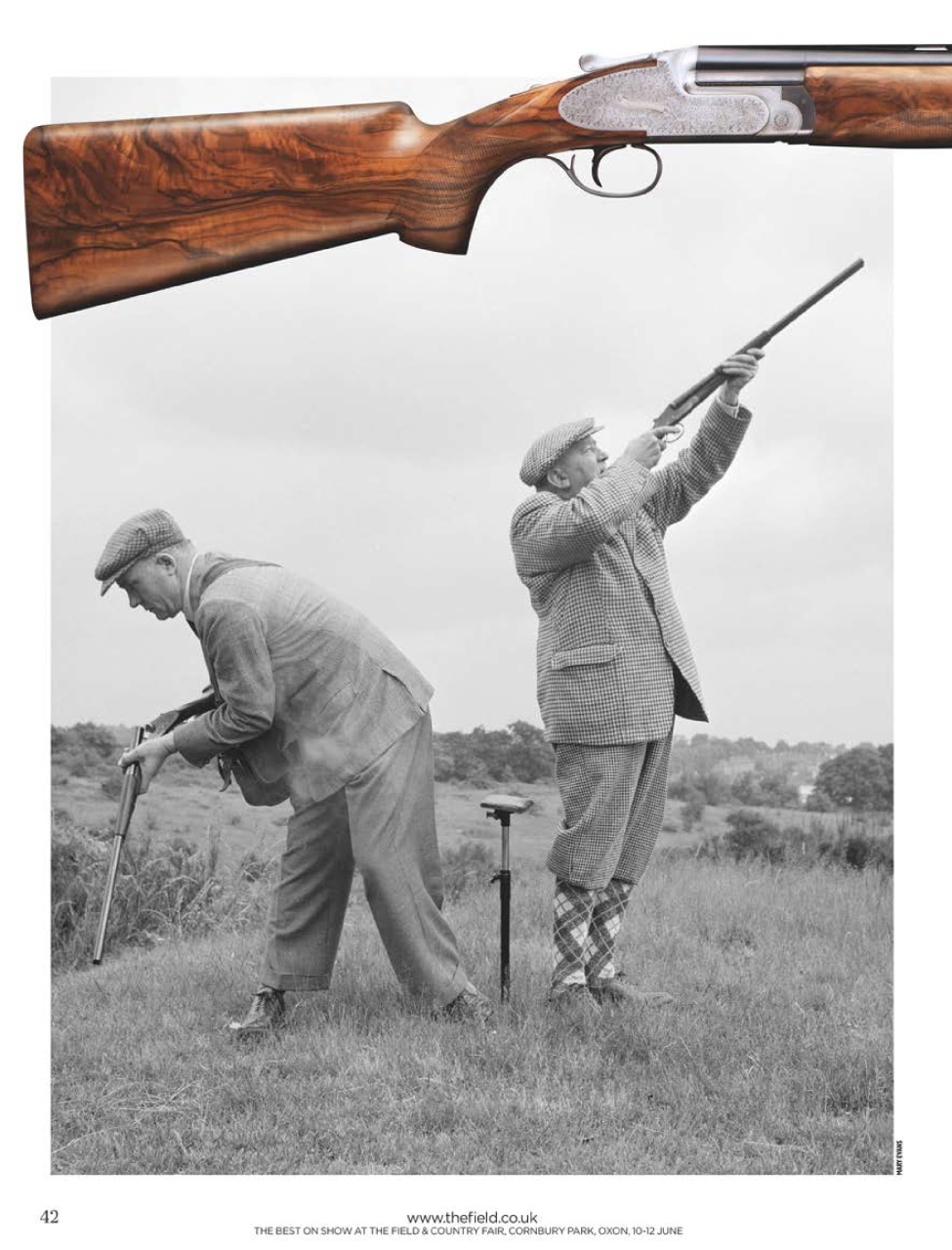 The Field Preview Pages