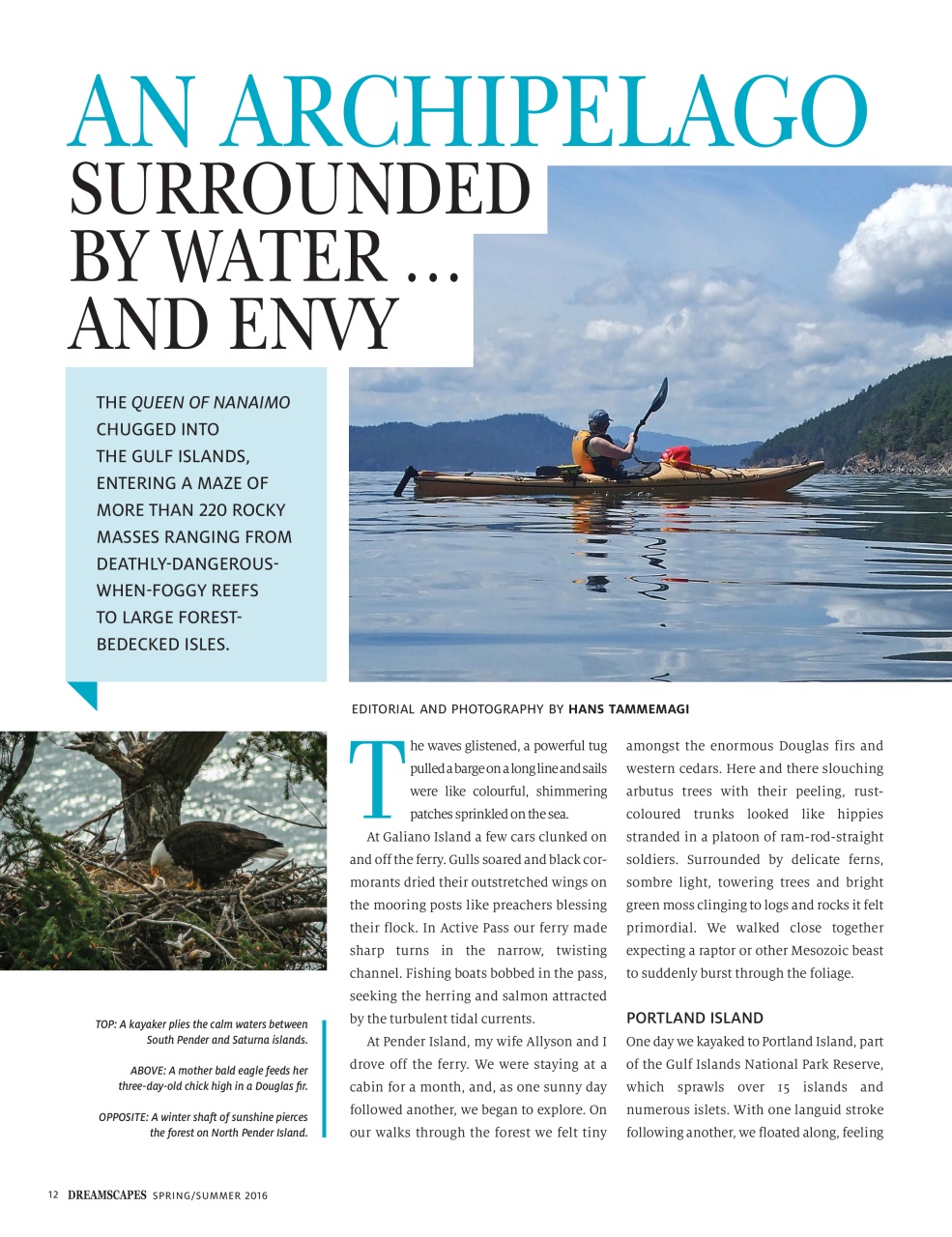 Dreamscapes Preview Pages