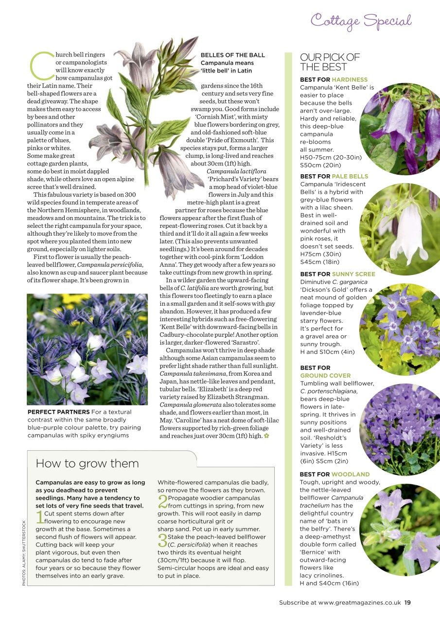Garden Answers Preview Pages