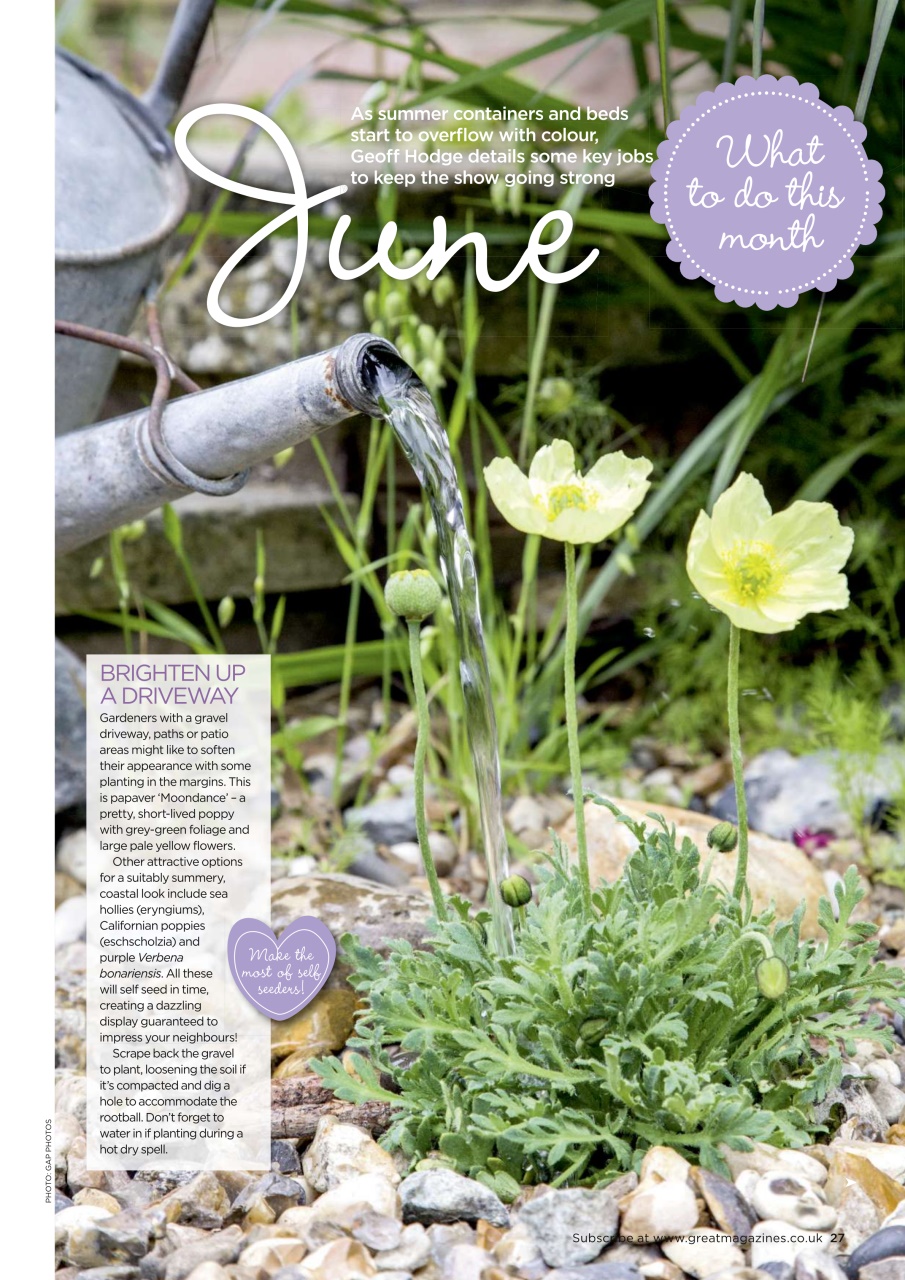 Garden Answers Preview Pages