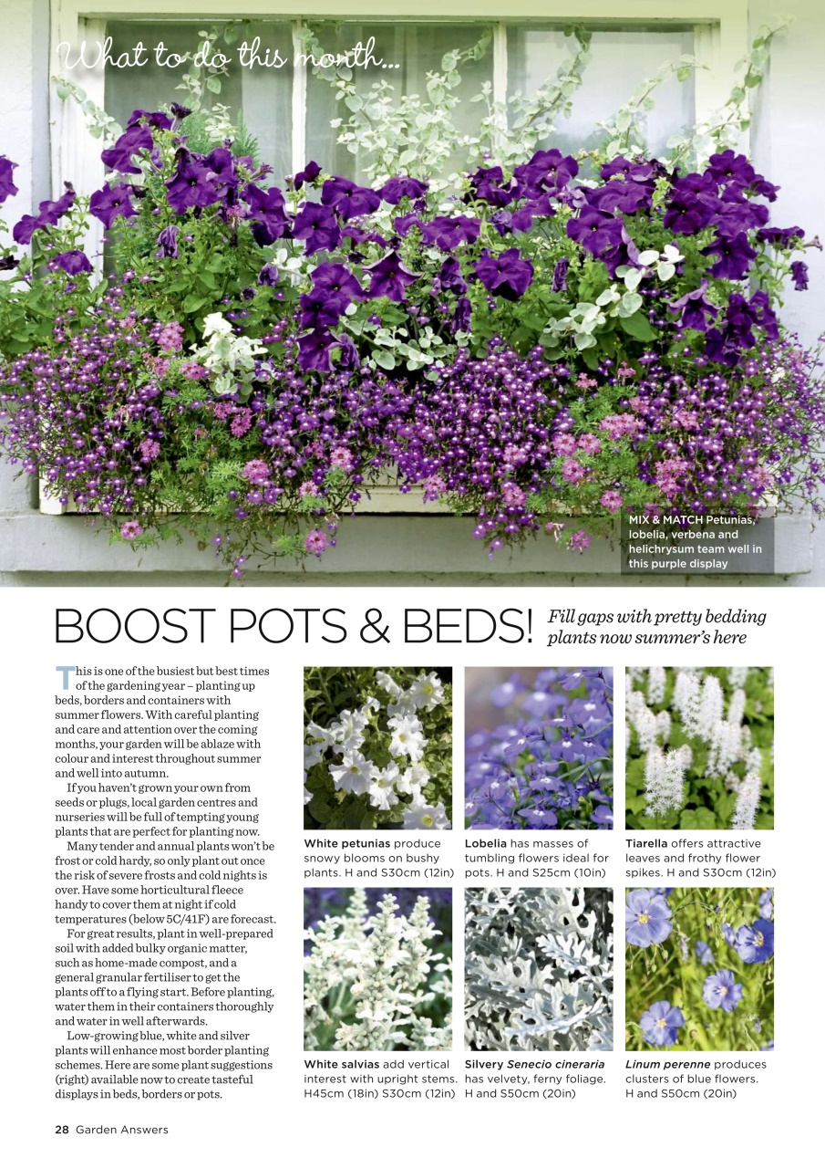 Garden Answers Preview Pages