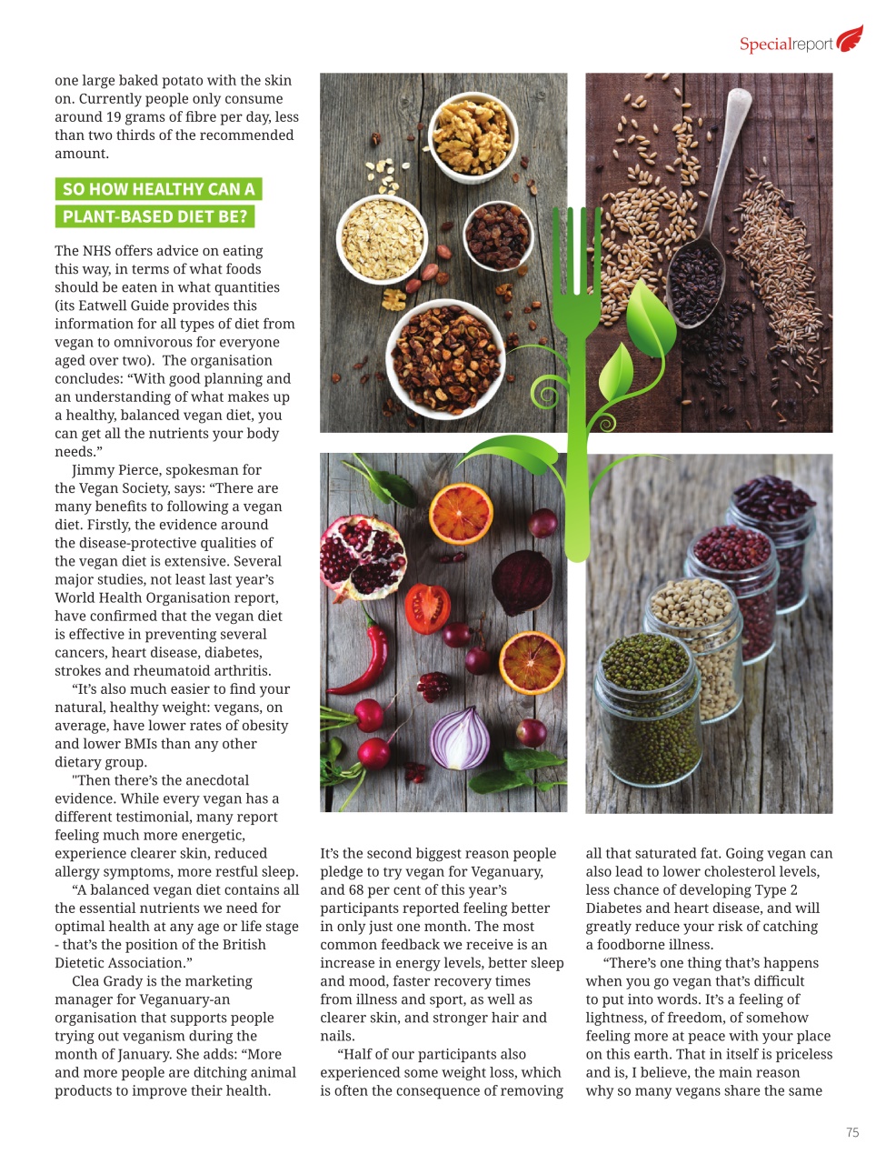 PlantBased Preview Pages