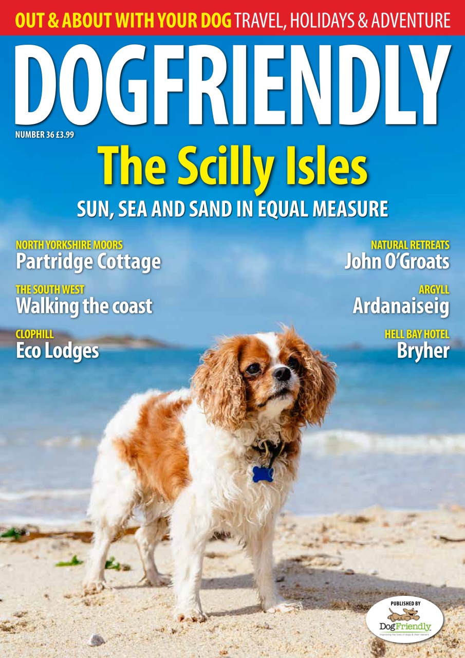 Dog Friendly Preview Pages