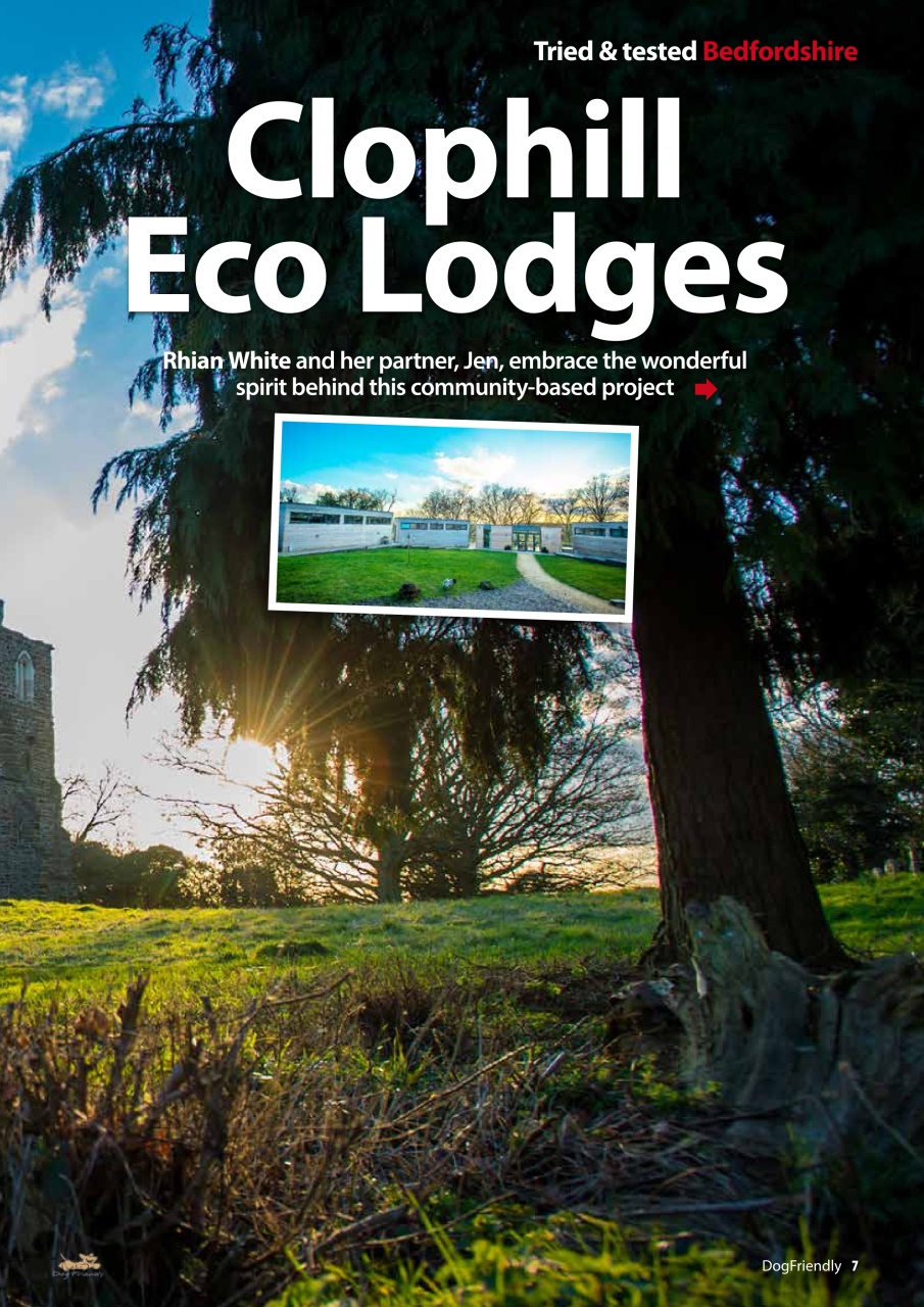 Dog Friendly Preview Pages