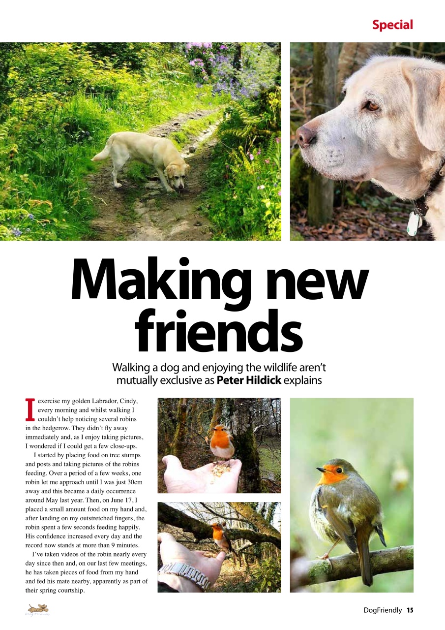 Dog Friendly Preview Pages