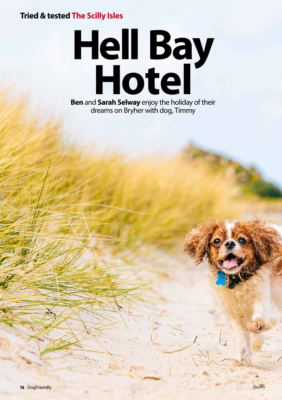 Dog Friendly Preview Pages