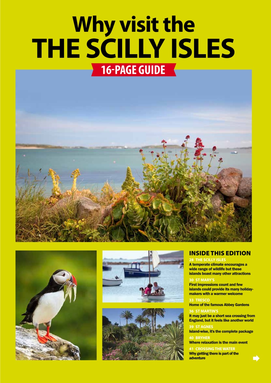 Dog Friendly Preview Pages