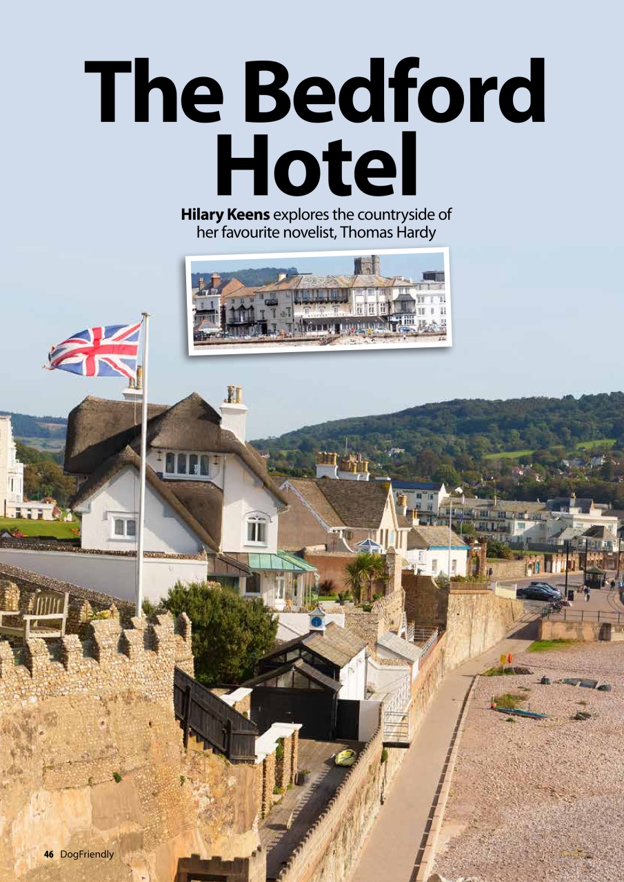 Dog Friendly Preview Pages