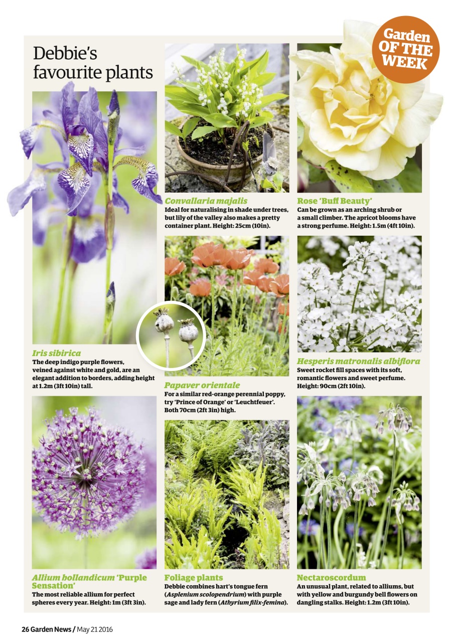 Garden News Preview Pages