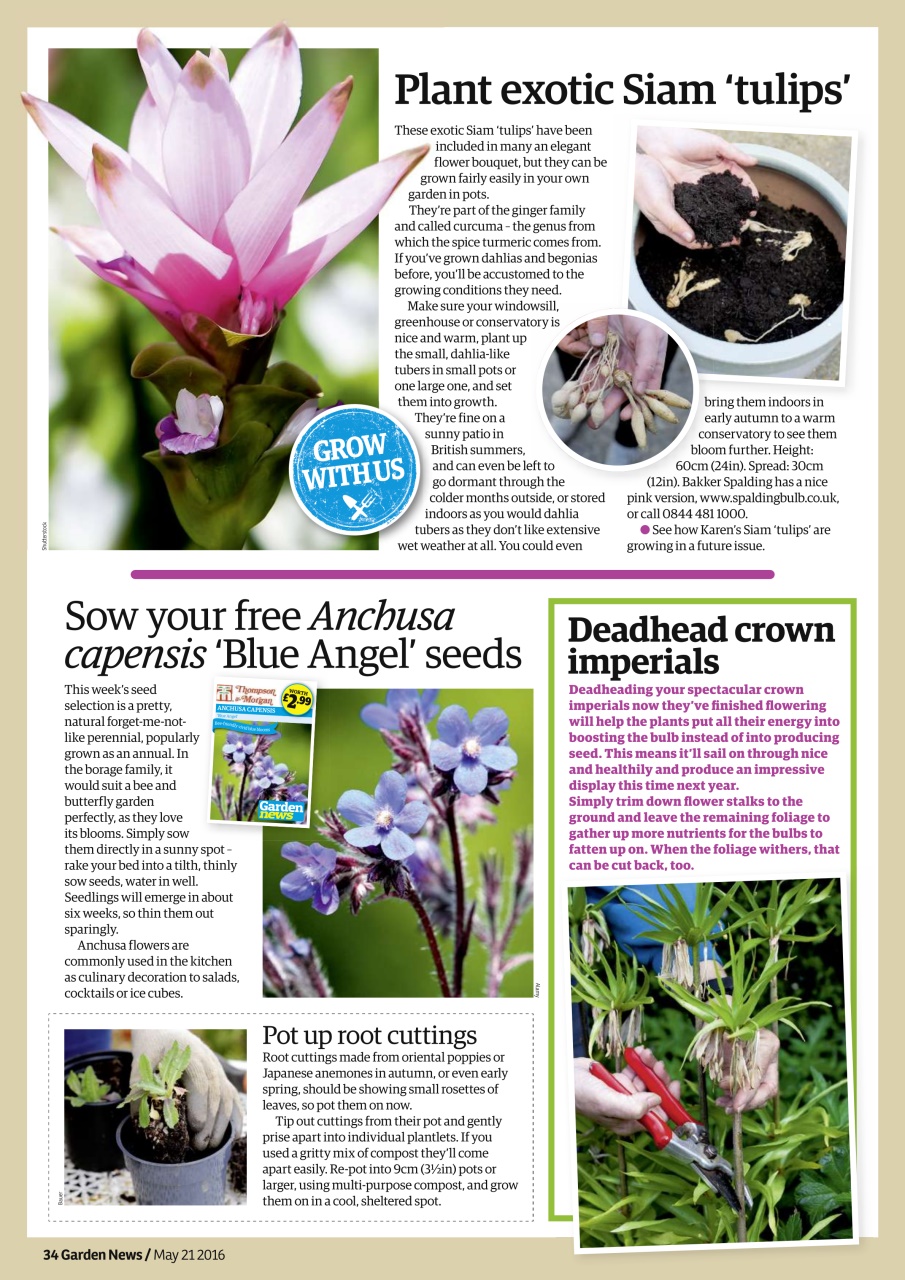 Garden News Preview Pages