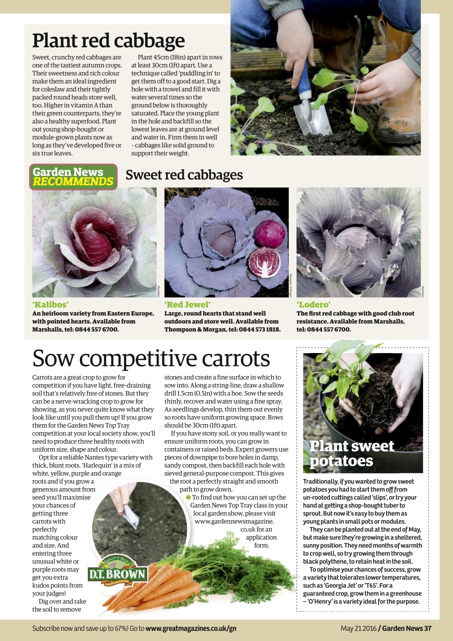 Garden News Preview Pages