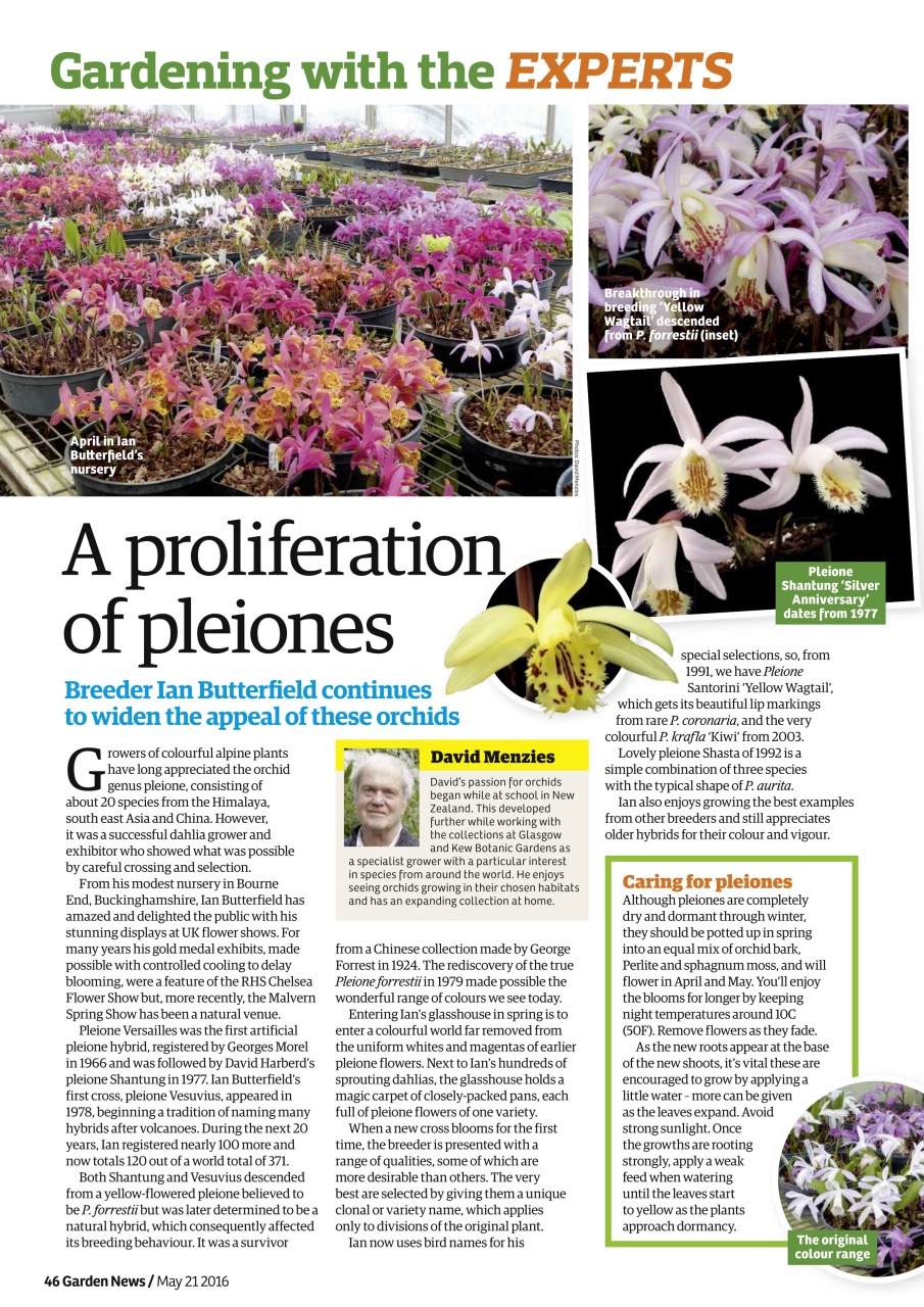 Garden News Preview Pages