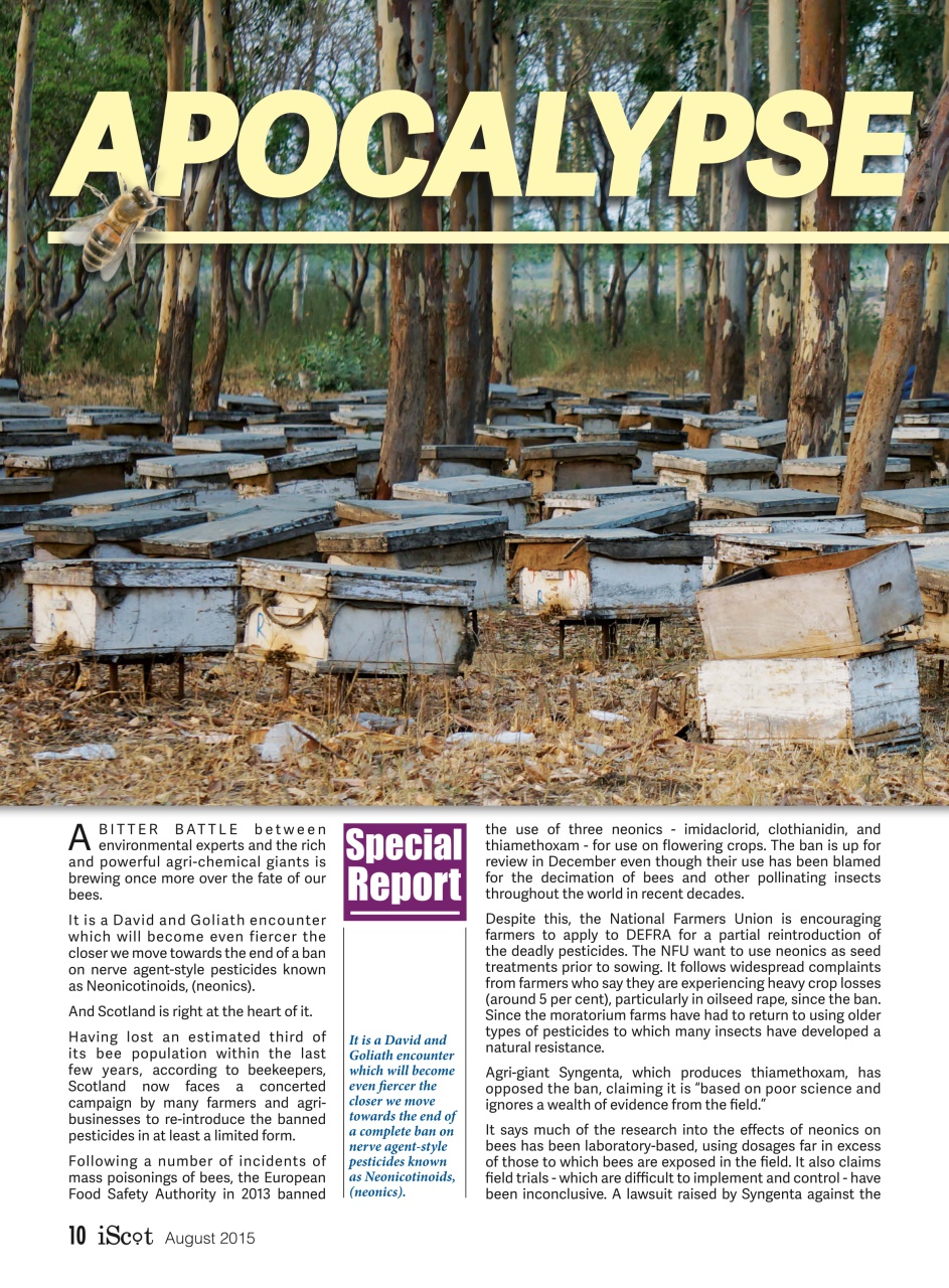 iScot Magazine Preview Pages