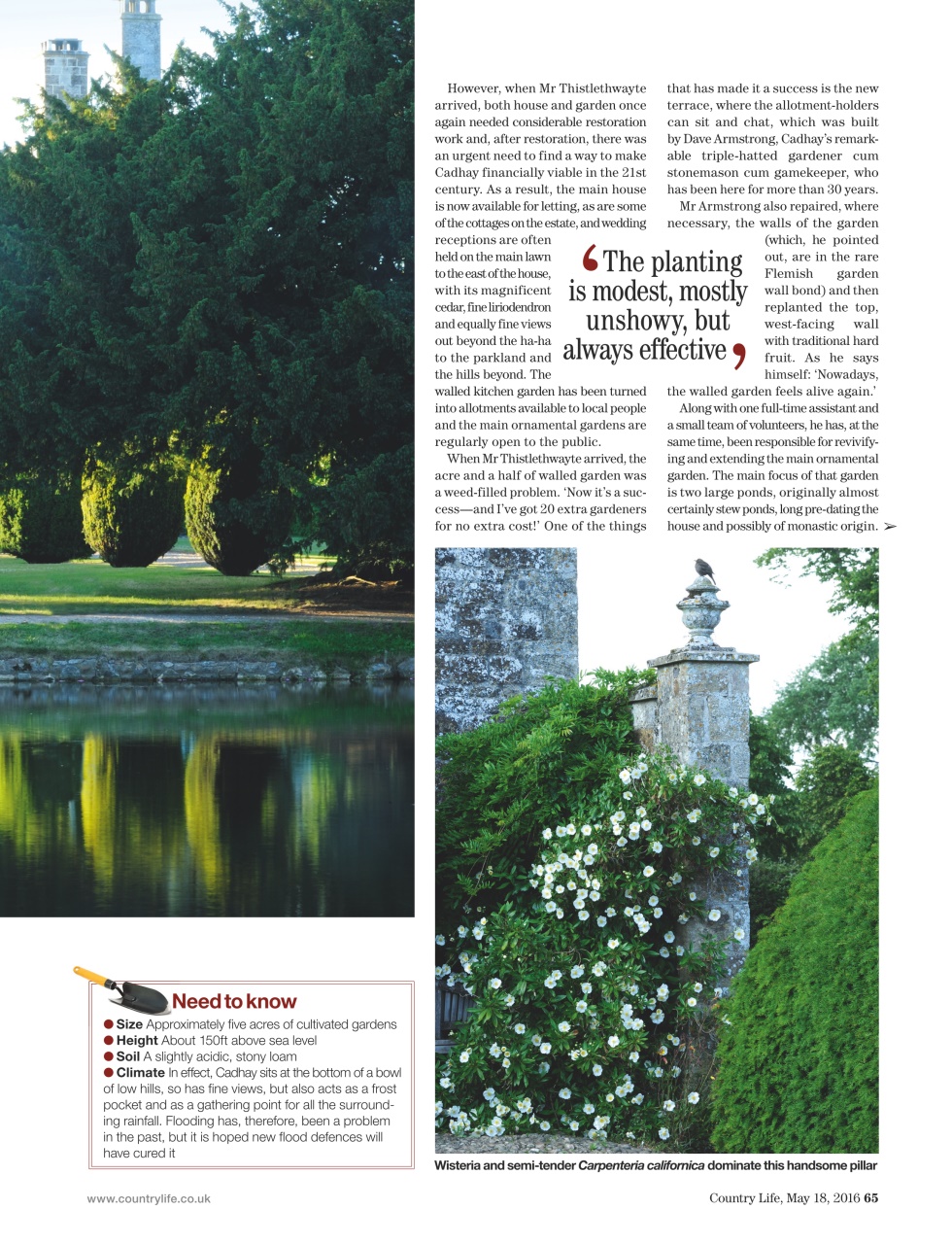 Country Life Preview Pages