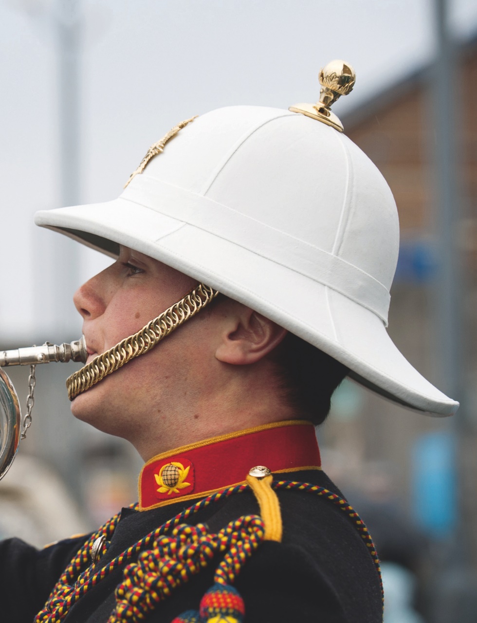 Country Life Preview Pages