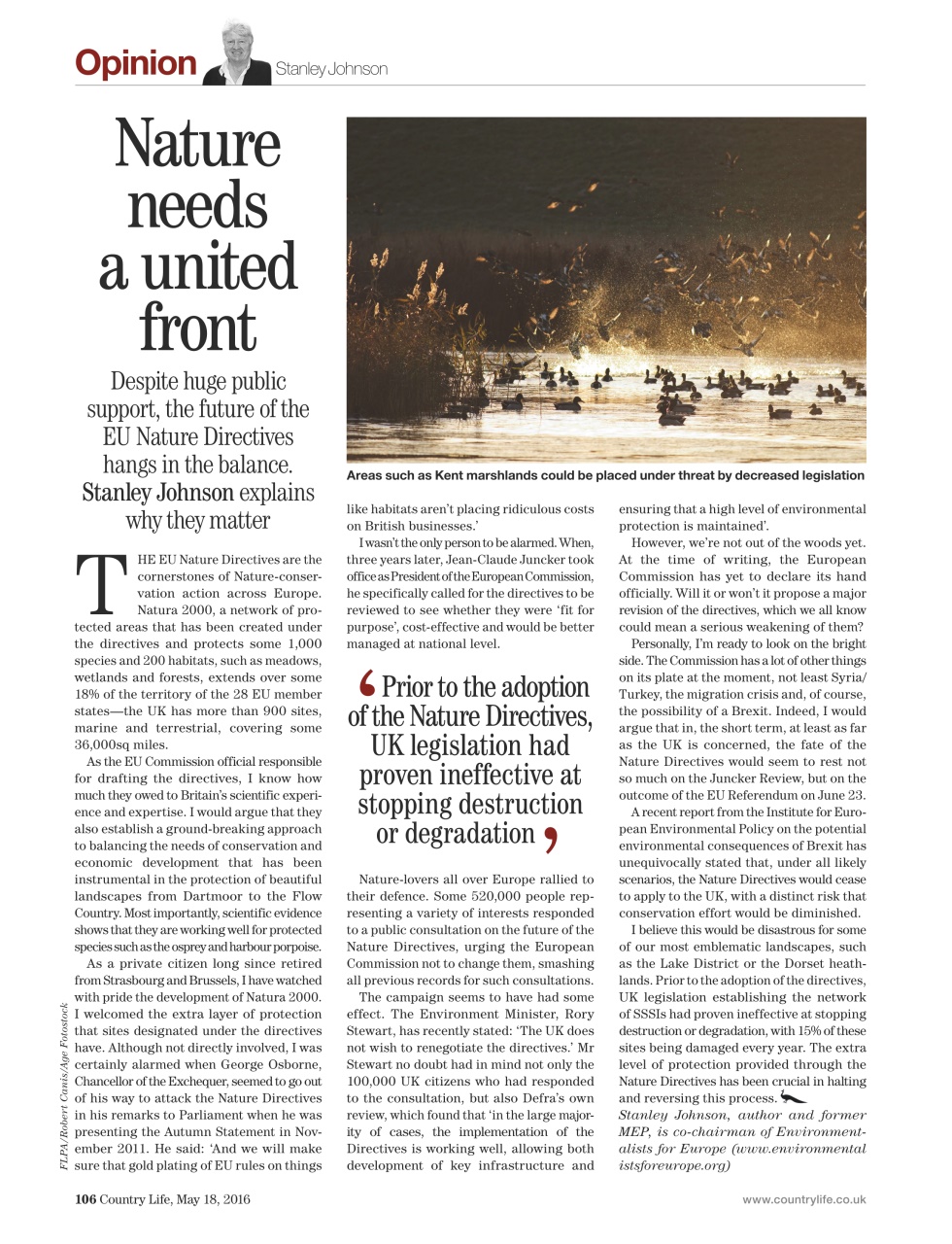 Country Life Preview Pages