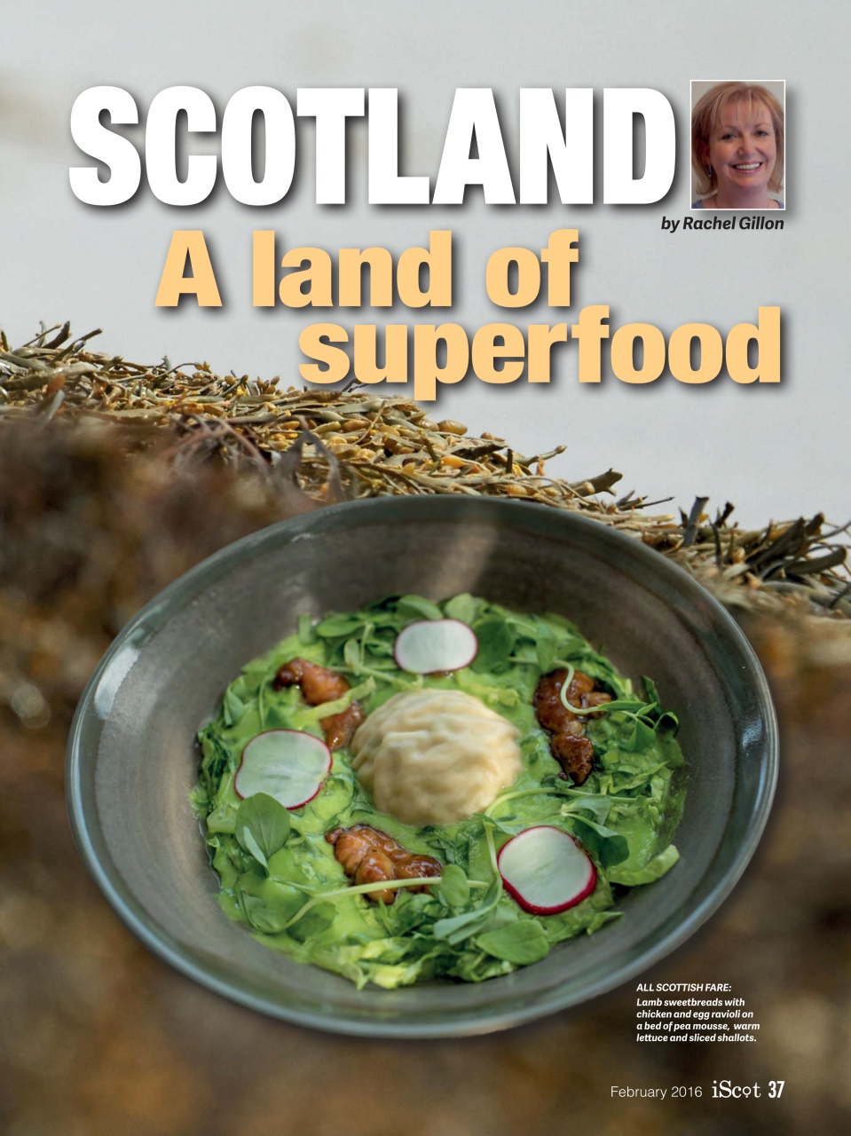 iScot Magazine Preview Pages