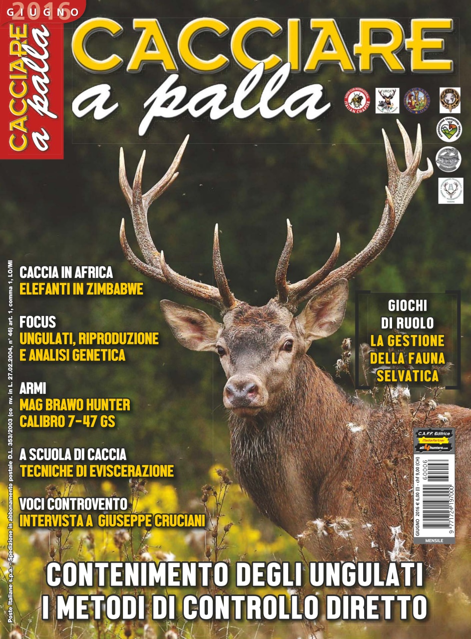 Caccia Magazine Preview Pages