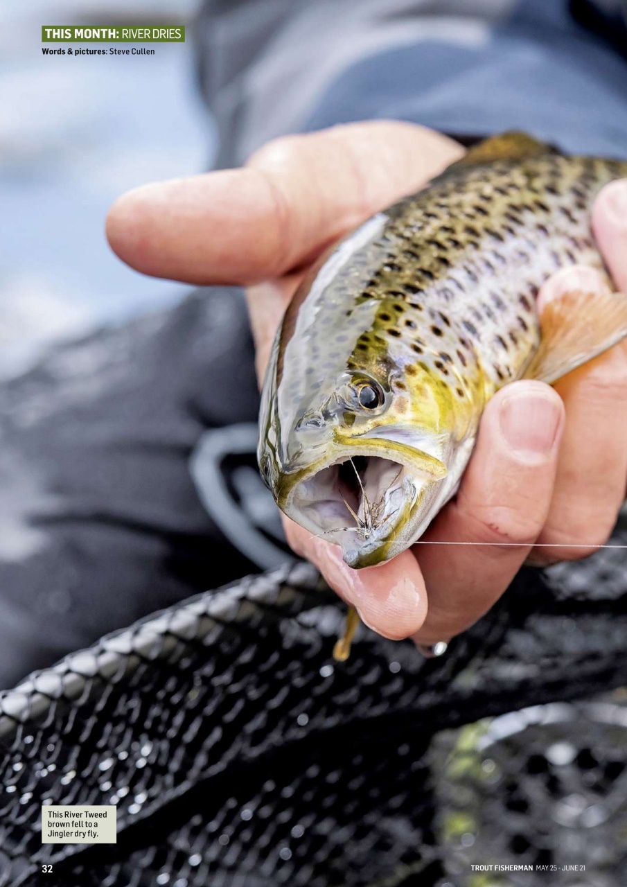 Trout Fisherman Preview Pages