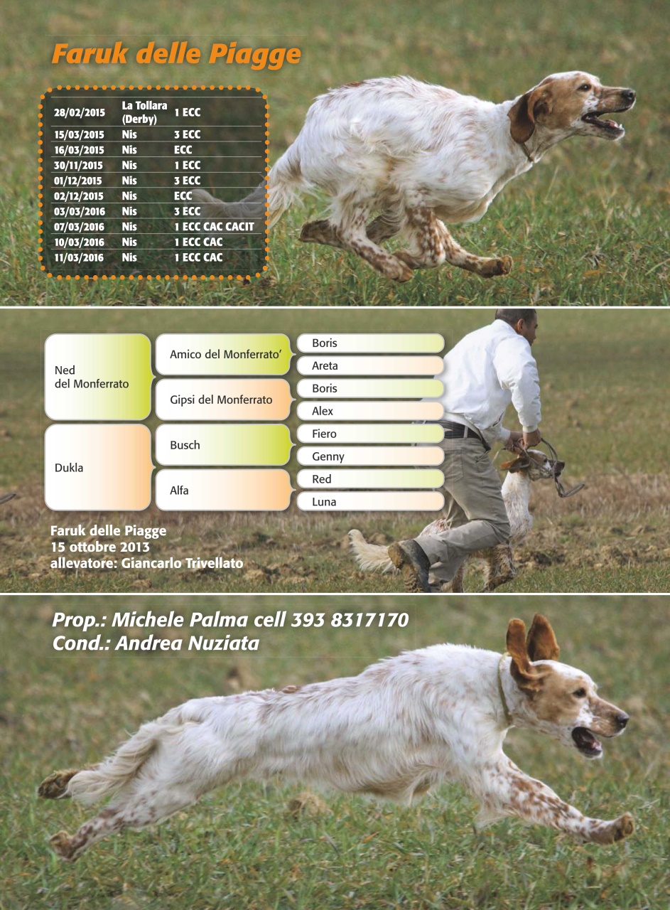 La Gazzetta Della Cinofilia Venatoria Preview Pages