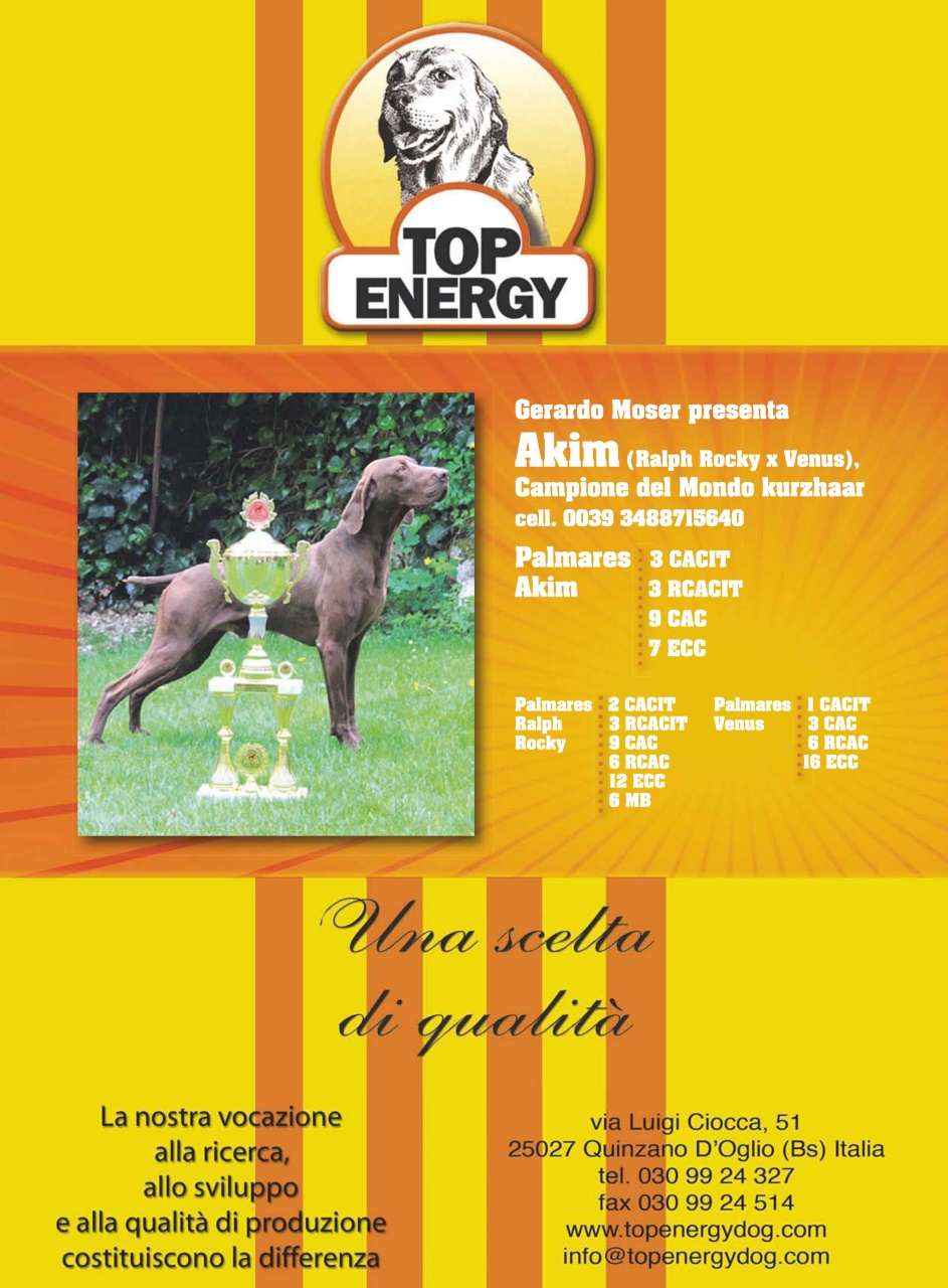 La Gazzetta Della Cinofilia Venatoria Preview Pages