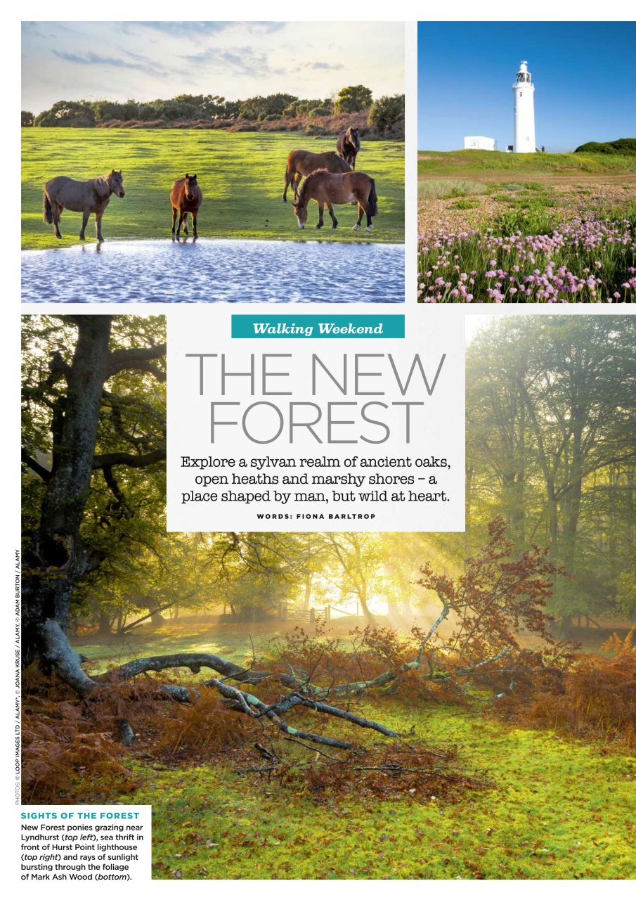 Country Walking Preview Pages