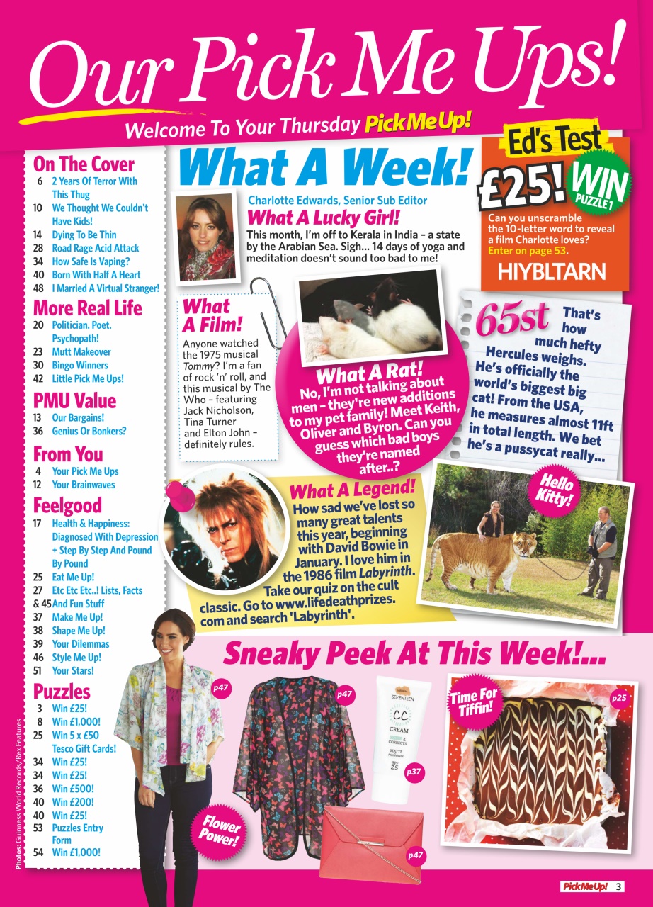 Pick Me Up Preview Pages