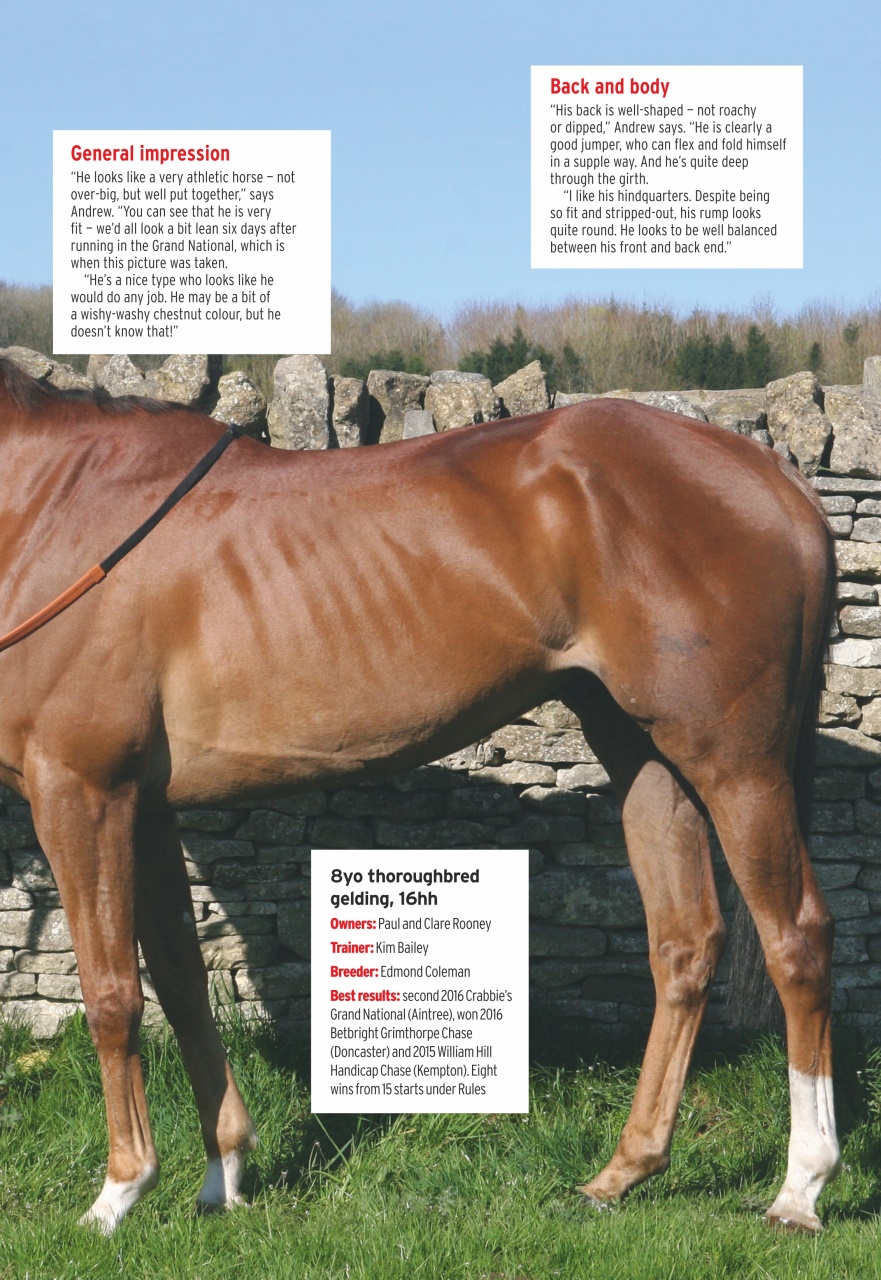 Horse & Hound Preview Pages