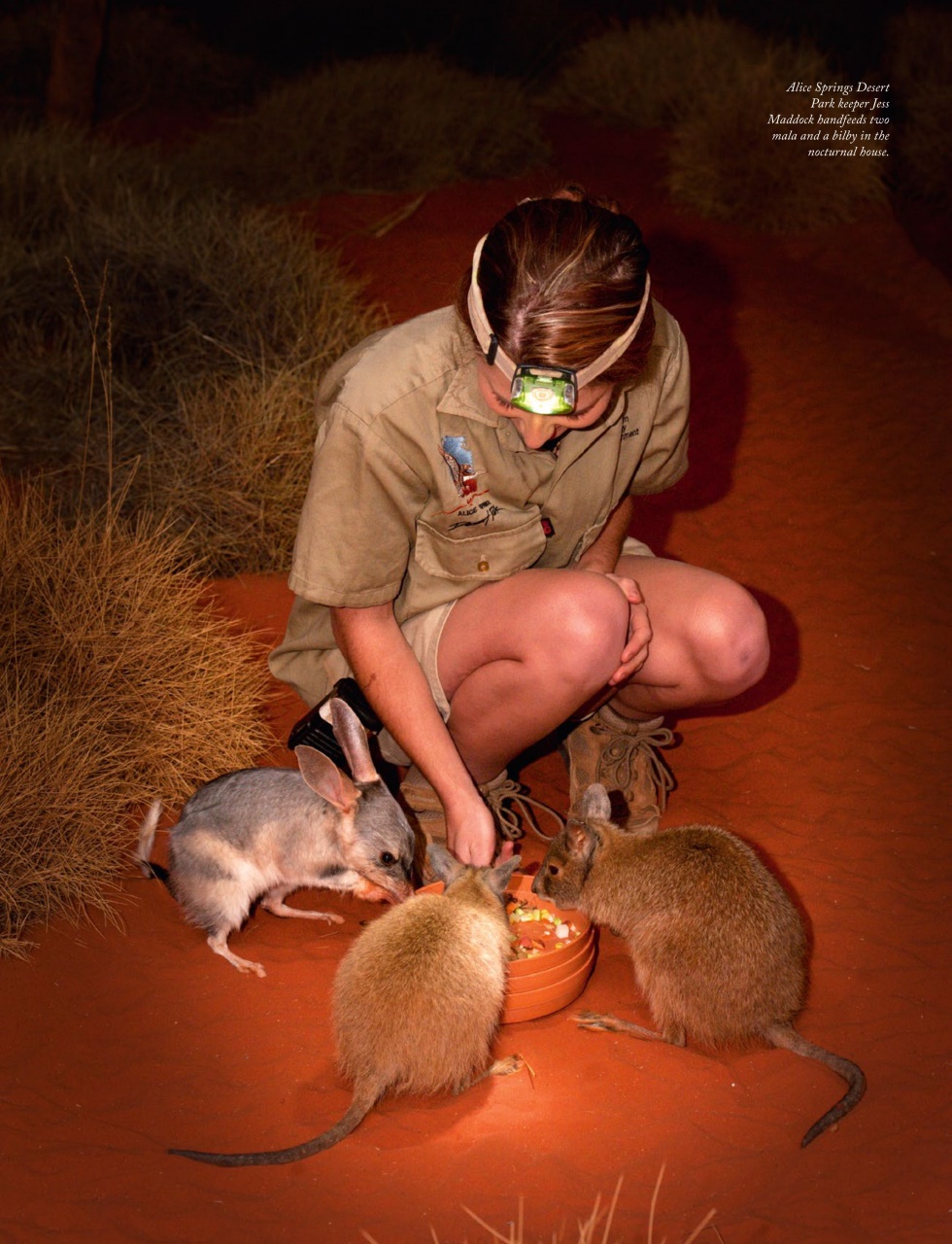 OUTBACK Magazine Preview Pages