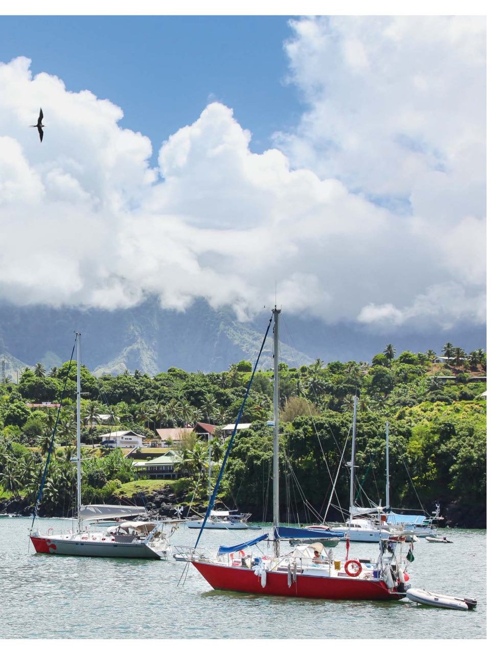 Sailing Today Preview Pages