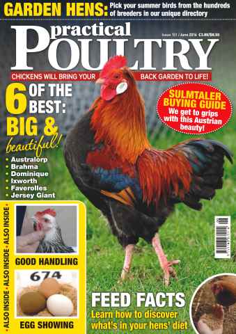Practical Poultry issue No. 151- Garden Hens 