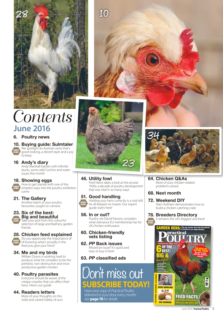 Practical Poultry Preview Pages