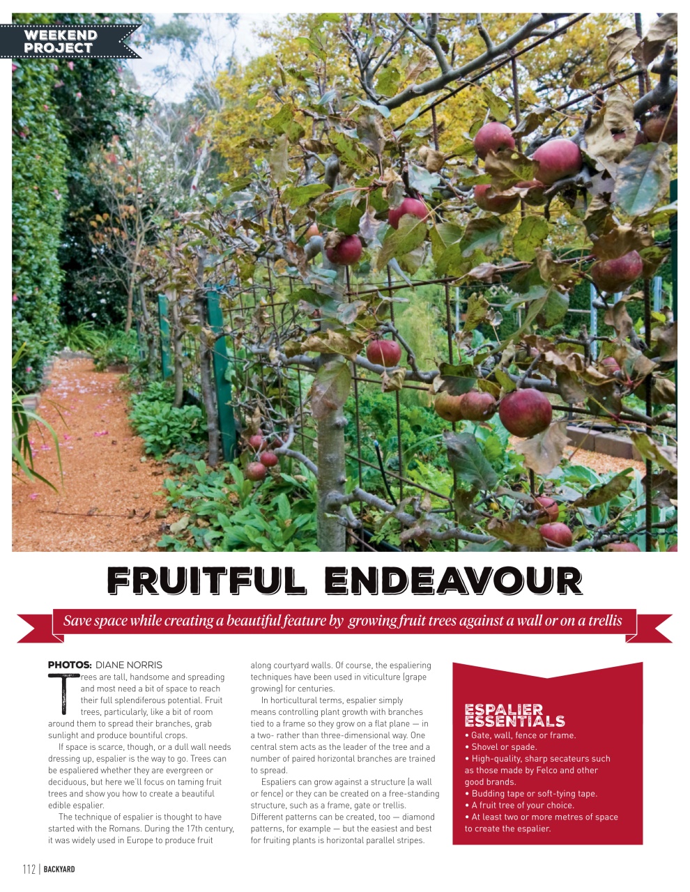 Backyard & Outdoor Living Preview Pages