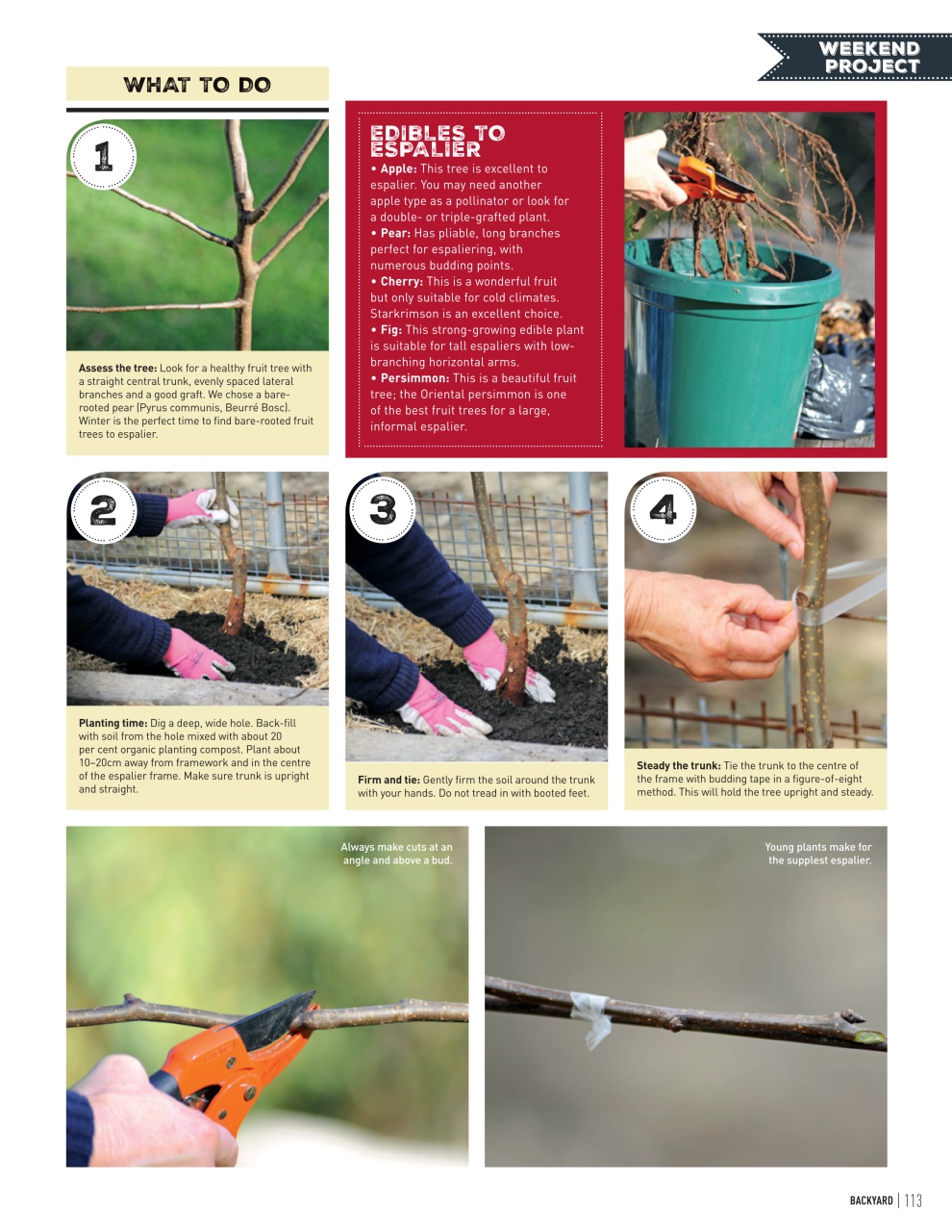 Backyard & Outdoor Living Preview Pages