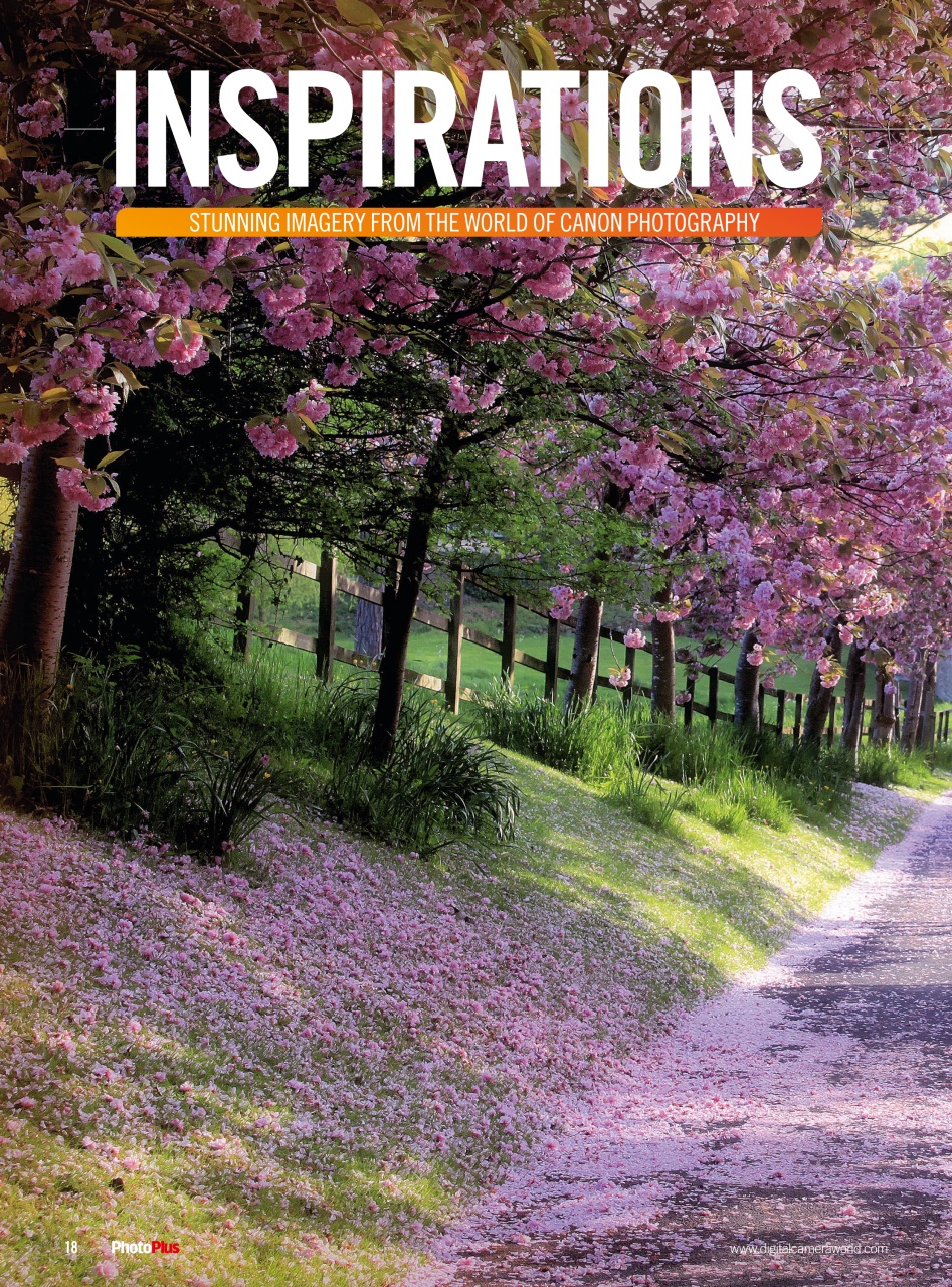 PhotoPlus Preview Pages