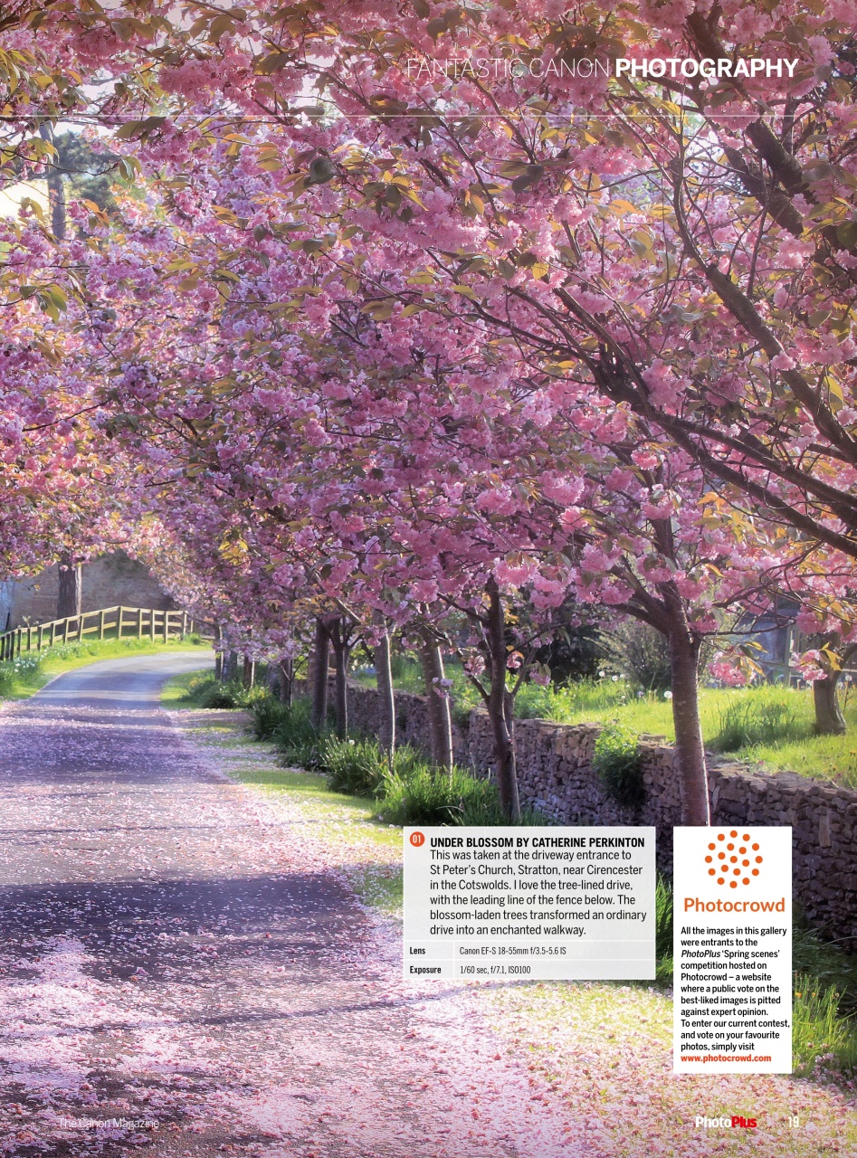 PhotoPlus Preview Pages