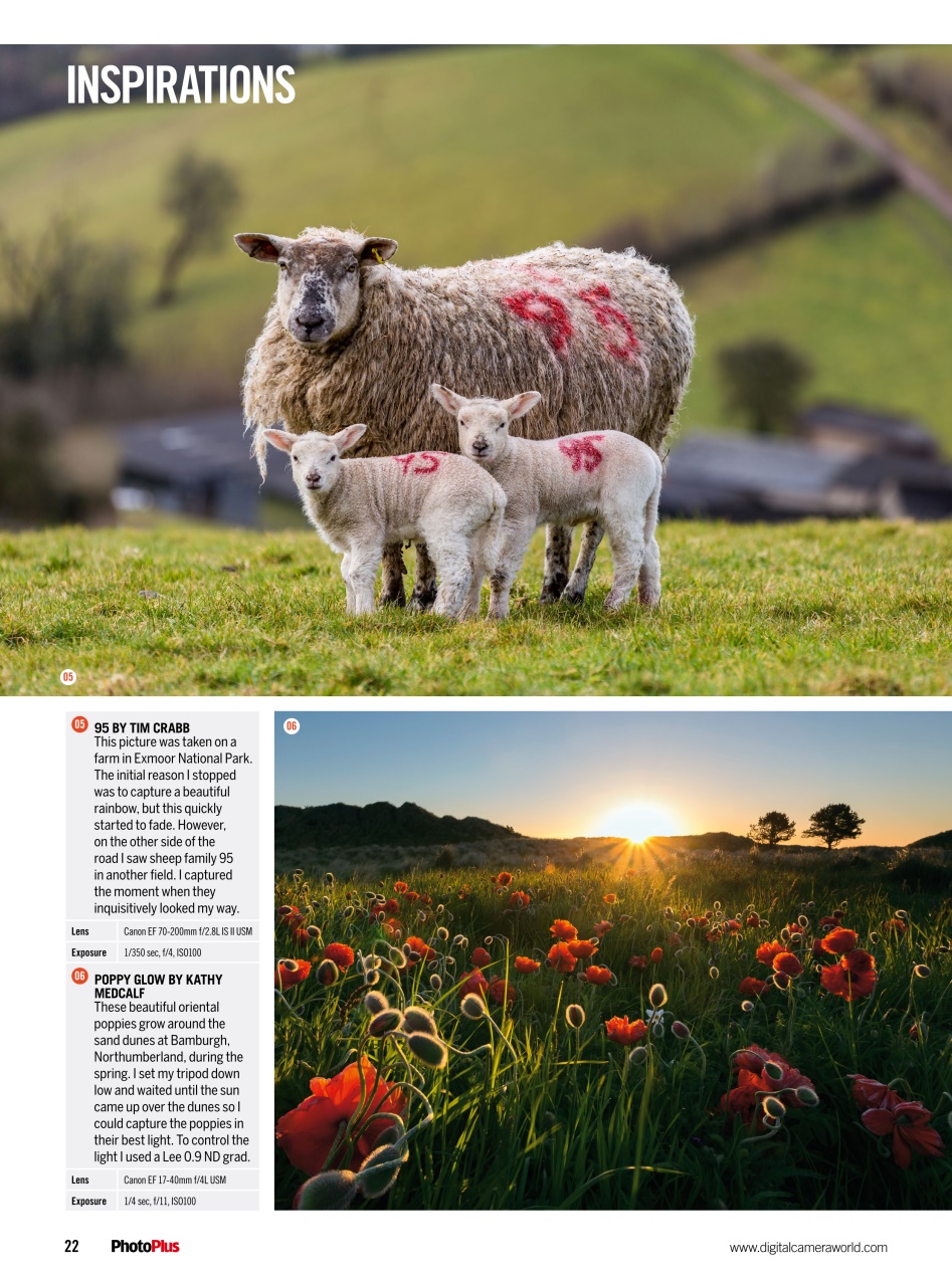 PhotoPlus Preview Pages