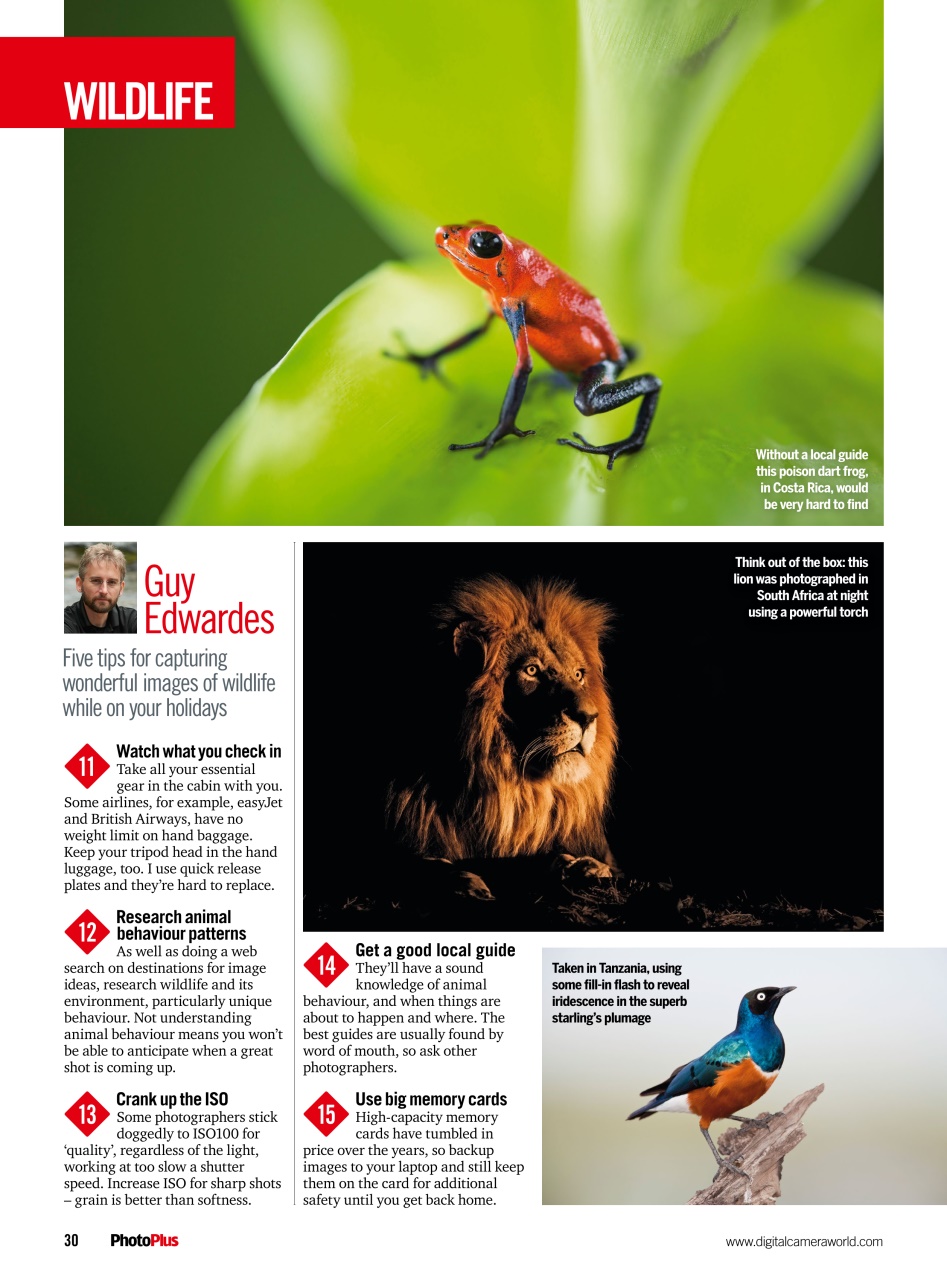 PhotoPlus Preview Pages