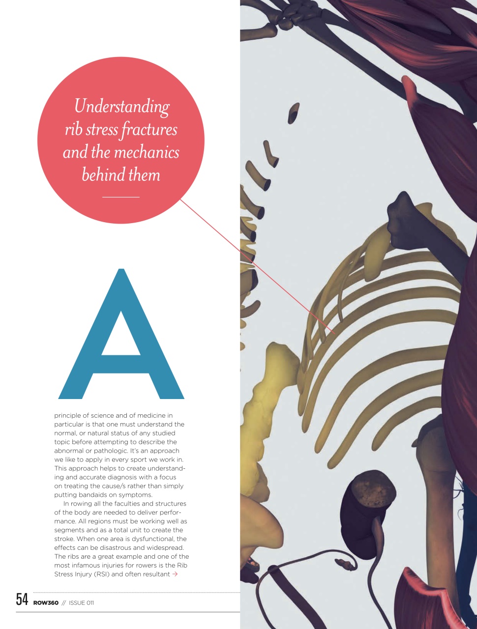 Row360 Preview Pages